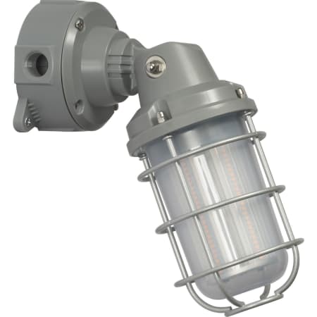 A large image of the Nuvo Lighting 65/171 Alternate View