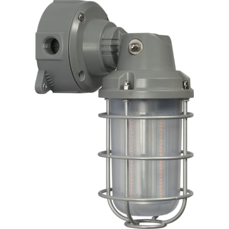 A large image of the Nuvo Lighting 65/172 Alternate View