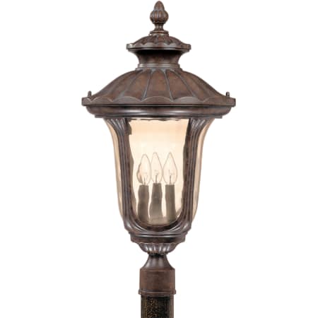 A large image of the Nuvo Lighting 60/2011 Fruitwood