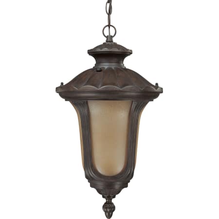A large image of the Nuvo Lighting 60/3908 Fruitwood