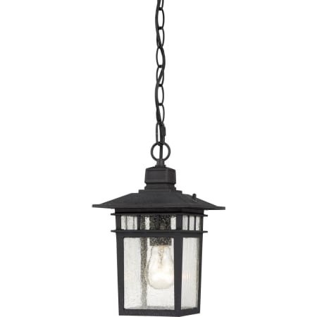 A large image of the Nuvo Lighting 60/4956 Textured Black