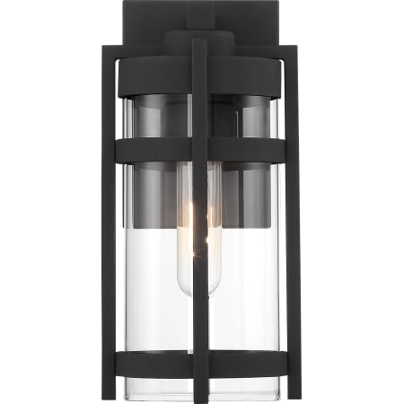 A large image of the Nuvo Lighting 60/6571 Alternate View