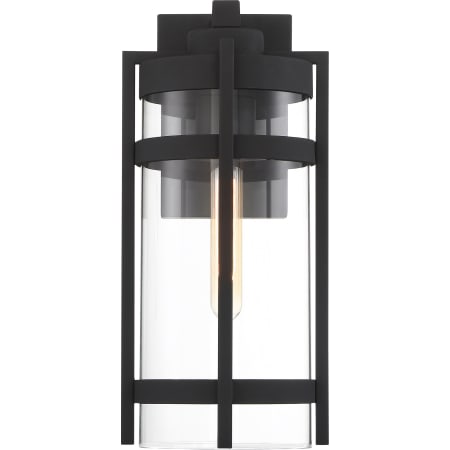 A large image of the Nuvo Lighting 60/6573 Alternate View