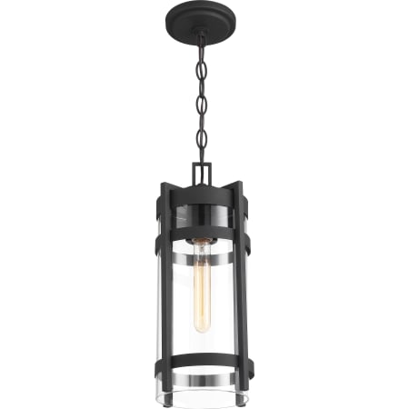 A large image of the Nuvo Lighting 60/6574 Alternate View