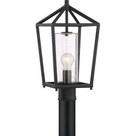 A large image of the Nuvo Lighting 60/6595 Matte Black
