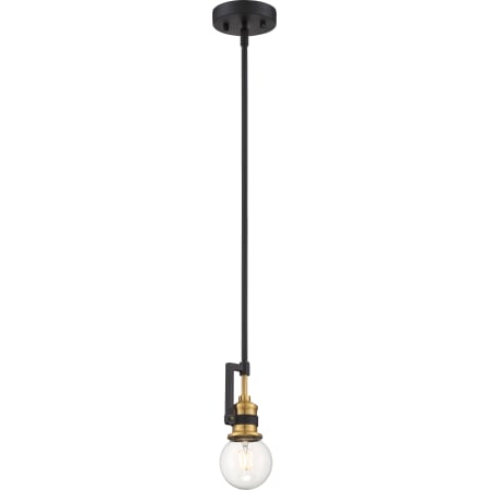 A large image of the Nuvo Lighting 60/6975 Alternate View