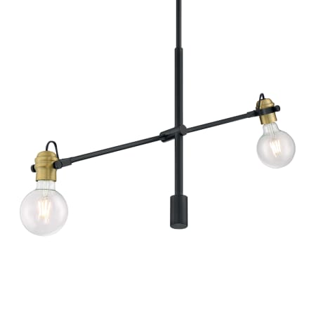 A large image of the Nuvo Lighting 60/6988 Black / Brass Accents