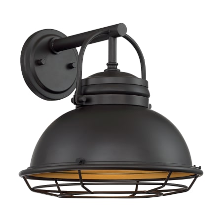 A large image of the Nuvo Lighting 60/7062 Dark Bronze / Gold