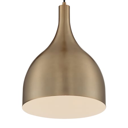 A large image of the Nuvo Lighting 60/7077 Burnished Brass