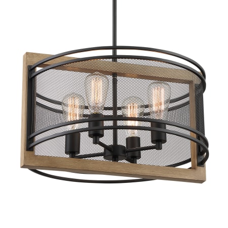 A large image of the Nuvo Lighting 60/7264 Black / Honey Wood