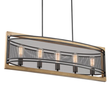 A large image of the Nuvo Lighting 60/7265 Black / Honey Wood