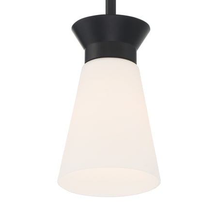 A large image of the Nuvo Lighting 60/7314 Black