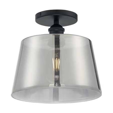 A large image of the Nuvo Lighting 60/7324 Alternative View
