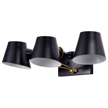 A large image of the Nuvo Lighting 60/7383 Black / Burnished Brass
