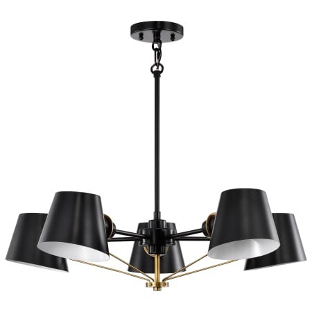 A large image of the Nuvo Lighting 60/7385 Black / Burnished Brass