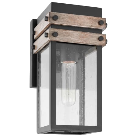 A large image of the Nuvo Lighting 60/7540 Black / Wood