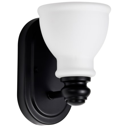 A large image of the Nuvo Lighting 60/8021 Matte Black