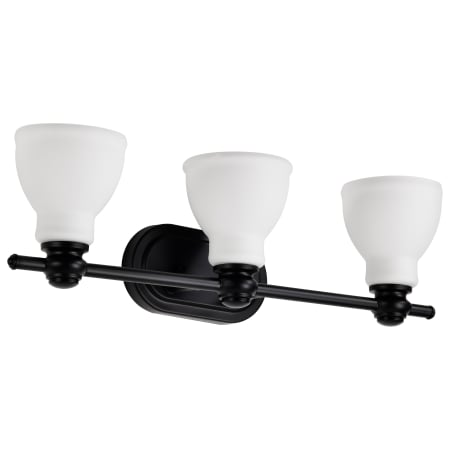 A large image of the Nuvo Lighting 60/8023 Matte Black