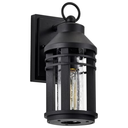 A large image of the Nuvo Lighting 60/8101 Matte Black