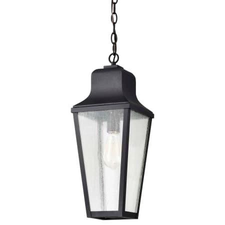 A large image of the Nuvo Lighting 60/8135 Matte Black