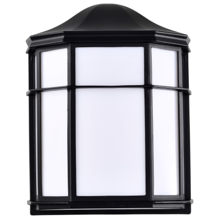 A large image of the Nuvo Lighting 62/1396 Black