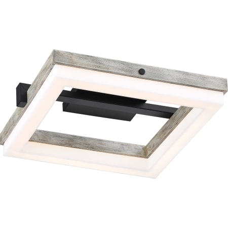 A large image of the Nuvo Lighting 62/1552 Black / Gray Wood