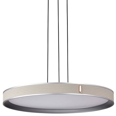 A large image of the Nuvo Lighting 62/3001 Gray / Off-White