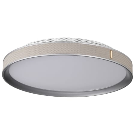 A large image of the Nuvo Lighting 62/3002 Gray / Off-White