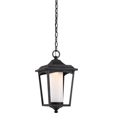 A large image of the Nuvo Lighting 62/824 Sterling Black