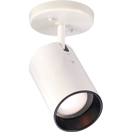 A large image of the Nuvo Lighting 76/412 White