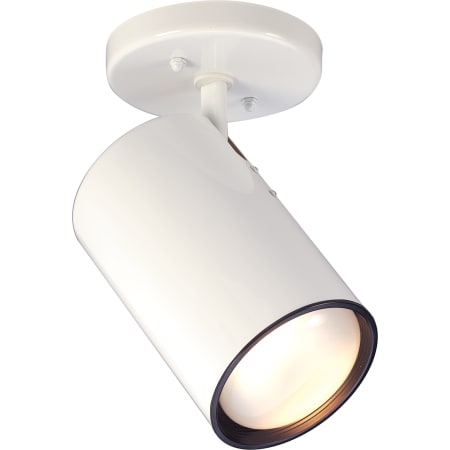 A large image of the Nuvo Lighting 76/418 White