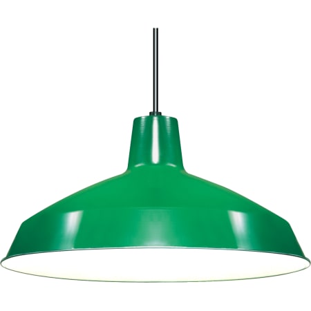 A large image of the Nuvo Lighting 76/660 Green