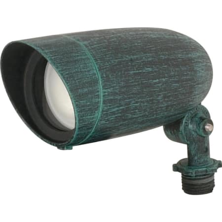 A large image of the Nuvo Lighting 76/655 Antique Verdigris