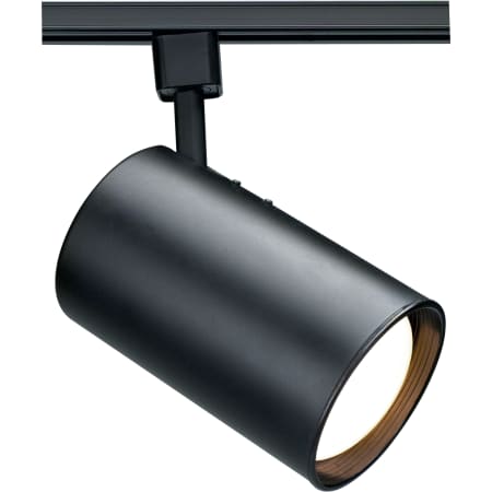 A large image of the Nuvo Lighting TH203 Black