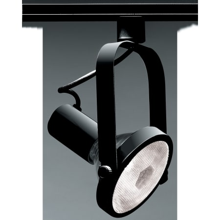 A large image of the Nuvo Lighting TH225 Black