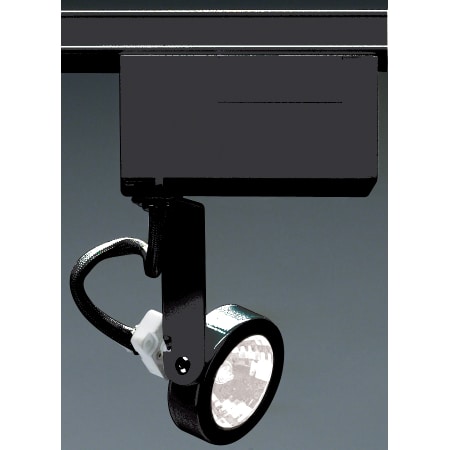 A large image of the Nuvo Lighting TH239 Black