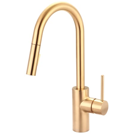 A large image of the Pioneer Faucets 2MT260 PVD Brushed Gold