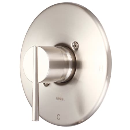 A large image of the Pioneer Faucets T-2383 Brushed Nickel