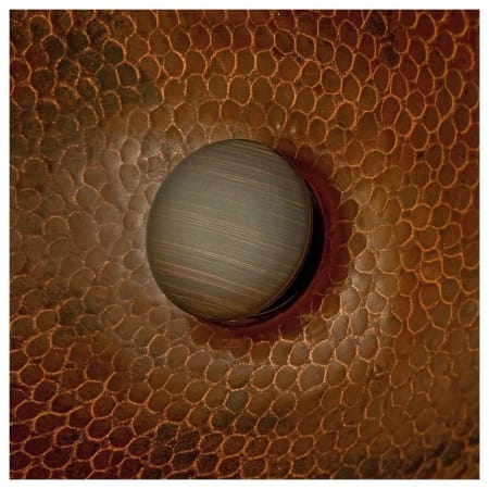 A large image of the Premier Copper Products D-209ORB Alternate Image