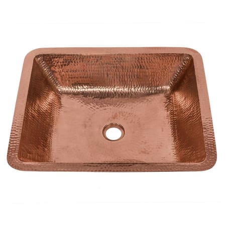A large image of the Premier Copper Products LREC19 Alternate Image