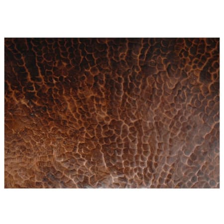 A large image of the Premier Copper Products VR13BDB Alternate Image