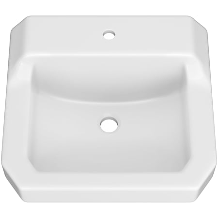 A large image of the PROFLO PF5411 White