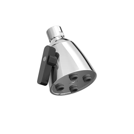 A large image of the PROFLO PFSH300G Chrome