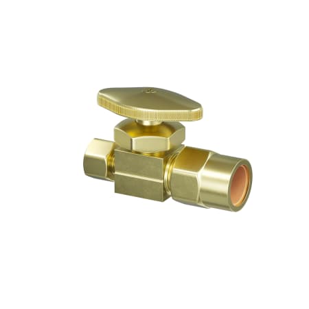 A large image of the PROFLO PFXSV32R Rough Brass