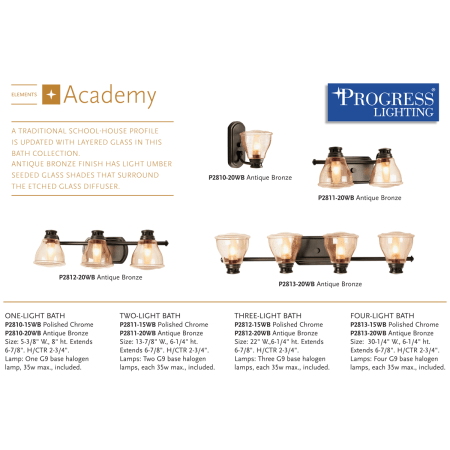 A large image of the Progress Lighting P2813-WB Academy Collection in Antique Bronze