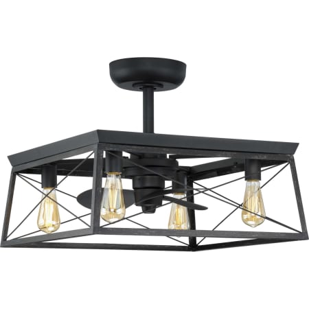 A large image of the Progress Lighting Briarwood 14 Matte Black