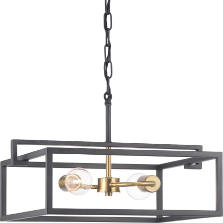 A large image of the Progress Lighting P350120 Product with Chain