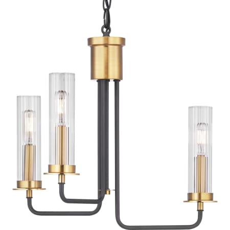 A large image of the Progress Lighting P350122 Product with Chain
