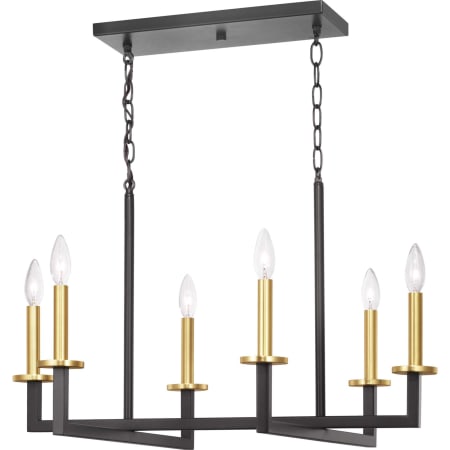 A large image of the Progress Lighting P400113 Product with Chain