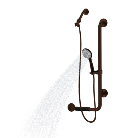 A large image of the Pulse 4001R Oil-Rubbed Bronze Stainless Steel